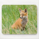 Recherche de ter tapis souris Taureau