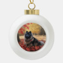 Recherche de keeshond ornements Animal
