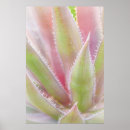 Recherche de motif mexicain posters Rose