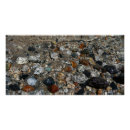 Recherche de galetteuse posters Nature