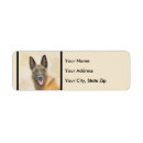 Recherche de chien malinois cartes invitations Chiot
