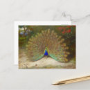 Recherche de iridescent cartes postales Paon