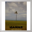 Recherche de hawaï posters Tropiques