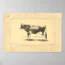 Recherche de bovin art Vintage