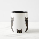 Recherche de chat birman tasses Animaux