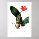 Recherche de libre posters Floral