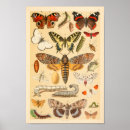 Recherche de chenille posters Vintage