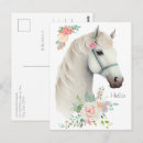 Recherche de portrait cheval blanc cartes postales Tête de cheval