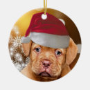 Recherche de dogue de bordeaux ornements Chien