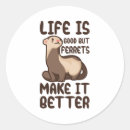 Recherche de de belette autocollants Furet