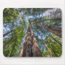 Recherche de monument national tapis souris Forêt