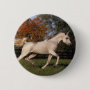 Recherche de cheval arabe badges Plomb langrish