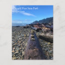 Recherche de driftwood posters Coast