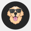 Recherche de furieux autocollants Dog