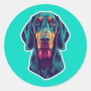 Recherche de bluetick Animaux