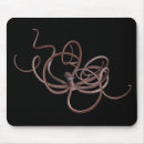 Recherche de kraken tapis souris Vie marine