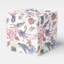 Recherche de poulpe ballotins Tortue