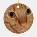 Recherche de tête de tigre ornements Pour tous