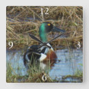 Recherche de aquatiques en art Canards
