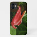 Recherche de calla lilly iphone coques Nature