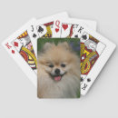Recherche de spitz jeux de cartes Pomeranian