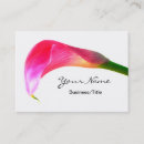 Recherche de zantedeschia rose Calla