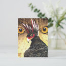 Recherche de griffon cartes postales Mythologique