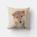 Recherche de shiba coussins Chiot