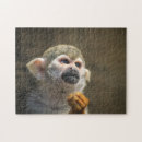 Recherche de intense puzzles Animal