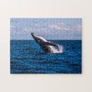 Recherche de baleines de bosse puzzles Mer