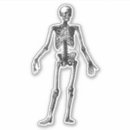 Recherche de crânes humains autocollants Os