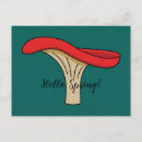 Recherche de champignons rouges cartes postales Magique