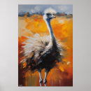 Recherche de ostriches posters Nature
