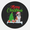 Recherche de chien de bernard autocollants Arbre de noël