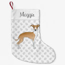Recherche de italien chaussette de noël Iggy