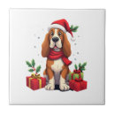 Recherche de basset hound carreaux Amoureux des chiens