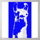 Recherche de visage de lama posters Lamas