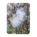 Recherche de soie magnets Fleurs