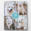 Recherche de animaux plaques Moderne