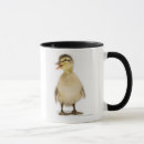 Recherche de caneton tasses Nature