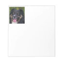 Recherche de australien blocsnotes Australishepherd