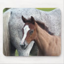 Recherche de art cheval tapis souris Ferme