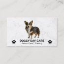 Recherche de petits animaux cartes visite Toiletteur