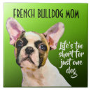 Recherche de french bulldog mom Animal
