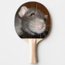 Recherche de rat raquettes ping pong Drôle
