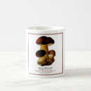 Recherche de haie tasses Champignon