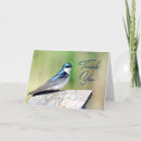 Recherche de hirondelle vœux cartes Amoureux des oiseaux