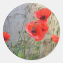 Recherche de pavot autocollants Fleur d'été