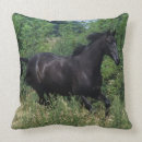 Recherche de pur sang coussins Herbe