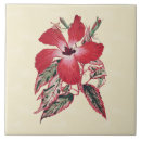 Recherche de 6x6 carreaux Floral